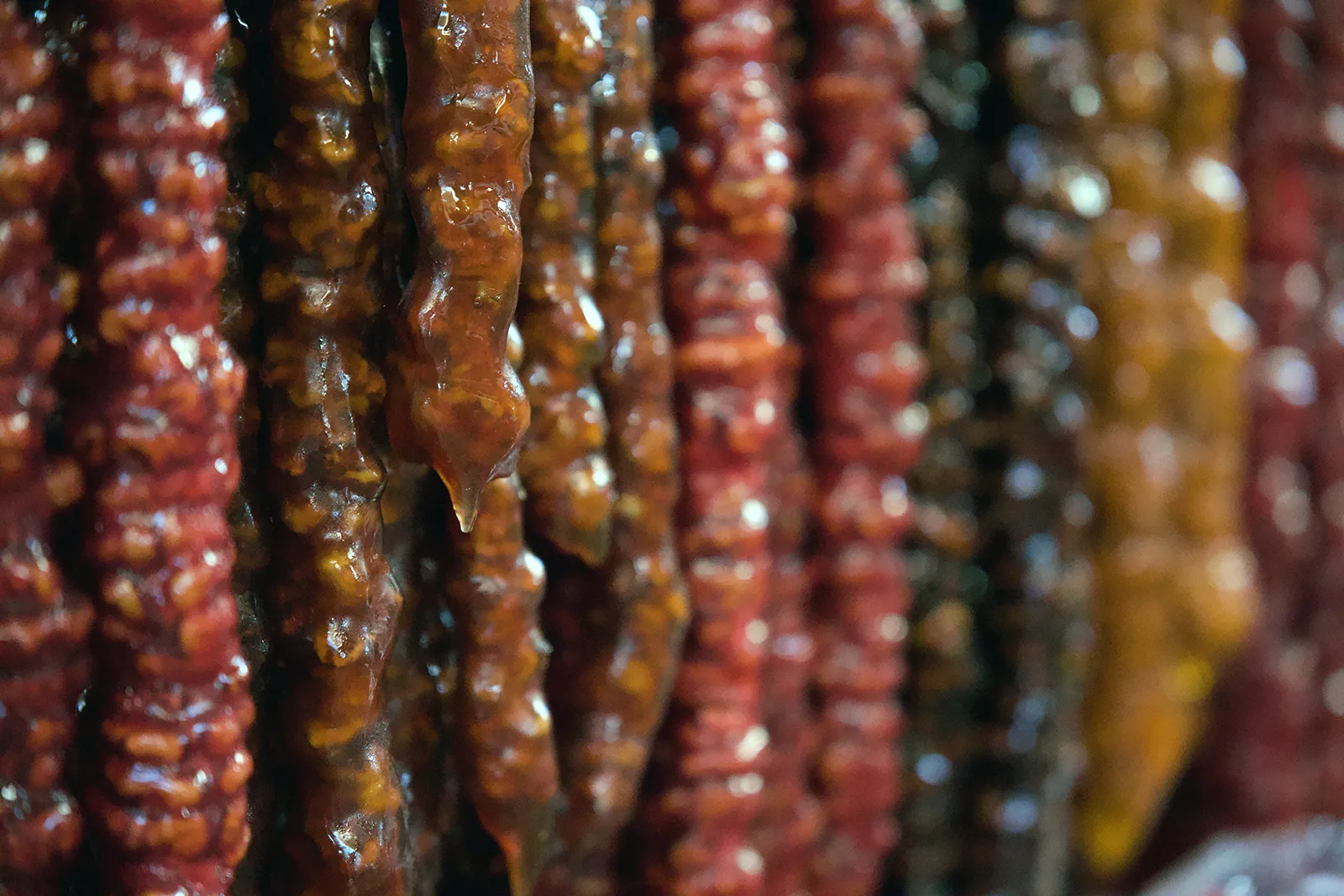 Churchkhela for sale at Green Bazaar in Almaty