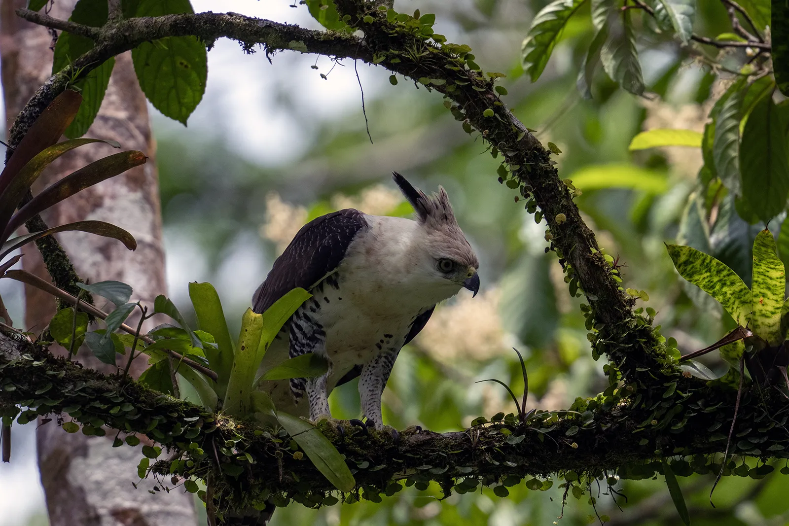 Wildlife photograph captured during a stop on a BMW R 1300 GS ride